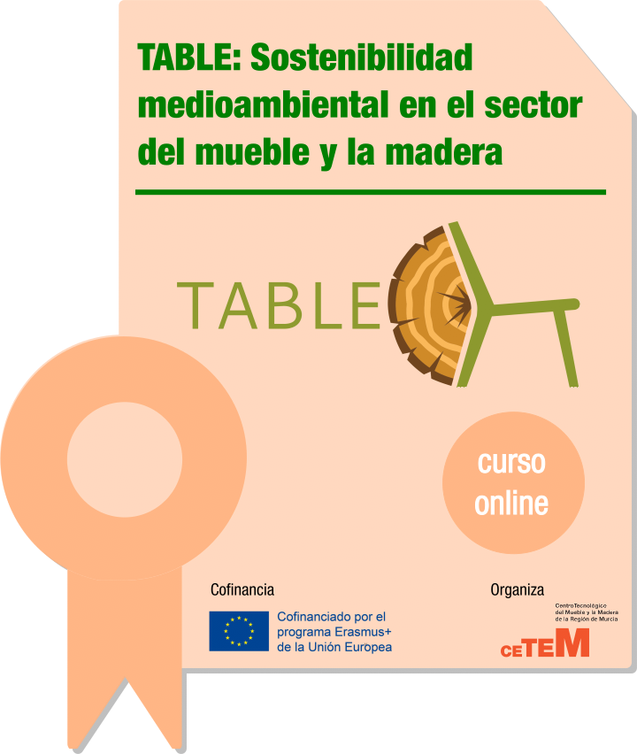 TABLE: Sostenibilidad medioambiental en el sector del mueble y la madera