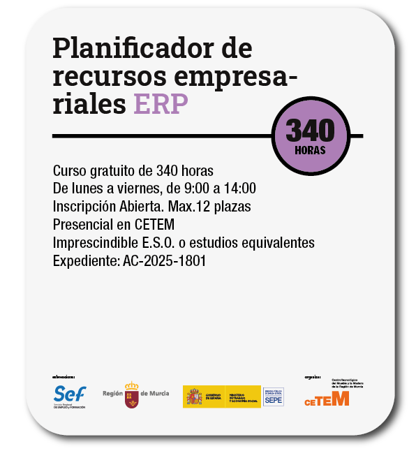 Planificador de recursos empresariales ERP